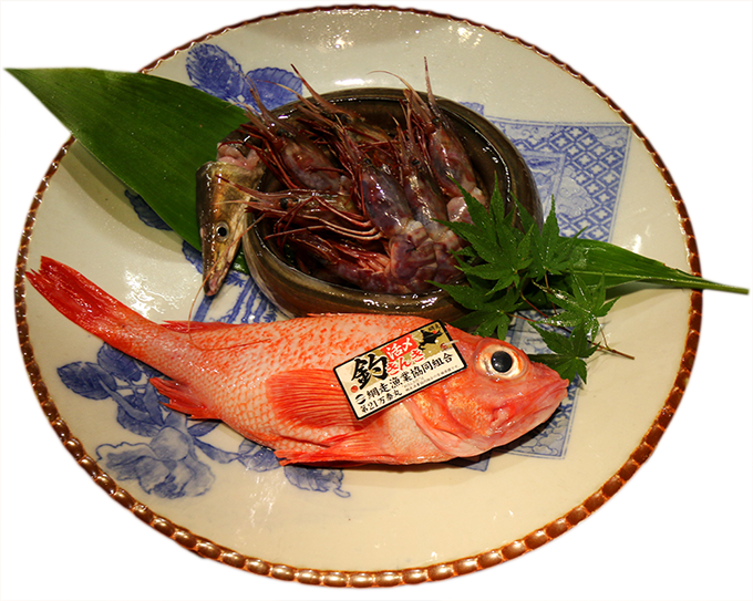 鮮度抜群の魚料理